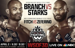 Результаты WSOF 30