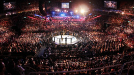 Шоу UFC в Мексике установило рекорд  продажи билетов