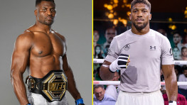 Нганну может заработать 20 млн за бой с Джошуа