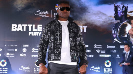 Нганну стал десятым в рейтинге WBC в супертяжелом весе