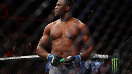 Франсис Нганну предлагает провести бой с Джуниором дос Сантосом