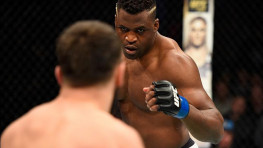 Нганну: Время Джуниора дос Сантоса прошло, а мое — настало