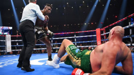 Уайлдер и Джошуа заинтересовались поединком против Нганну