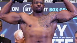 Уайт возвращается за титулом и реваншами с Джошуа и Фьюри