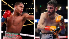 Хейни и Линарес достигли соглашения о бое в мае