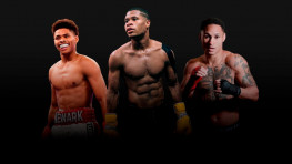 WBC санкционировал бой Прогрейс-Хейни и возможно бой Ломаченко-Стивенсон