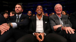 Барри Хирн: Уайлдер — самый легкий соперник для Джошуа, Уайт — самый опасный