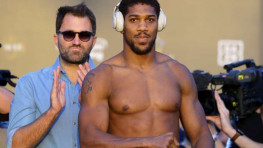 Джошуа назвал промоутеру четырех возможных соперников