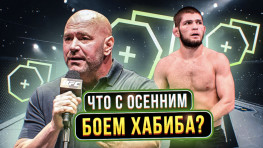 Состоится ли бой Хабиб-Гэтжи осенью | Масвидаль хочет реванш с Усманом (видео)