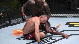 Реакция на бой Льюиса и Олейника: Льюиса похвалили за грепплинг и ударные навыки