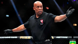 Рефери, получивший травму во время боя Пуляев – Готье, перенес операцию