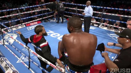 Мейвезер провел очередной показательный бой