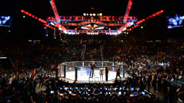 UFC проведет шоу в России в 2015 году?