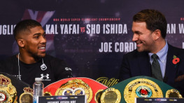 Хирн о Джошуа: Следующий бой против Поветкина, Хаммера или Ортиса