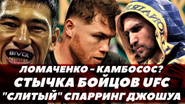 Потасовка бойцов UFC / Бой Ломаченко-Камбосос / Спарринг Джошуа и Джойса (видео)
