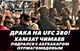 Хамзат Чимаев устроил драку с Абубакаром Нурмагомедовым на UFC 280 (видео)