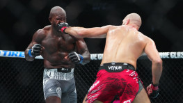 Бой Прохазка — Раунтри признан лучшим в UFC по итогам октября