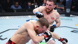 Реакция ММА-сообщества на результат боя Двалишвили — Ян