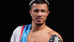 Результаты предварительных боев UFC Fight Night 253: Темиров победил Джонсона, Пинто успешно дебютировал в UFC