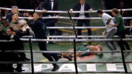 Вандерлея Сильву нокаутировали в драке после проигранного боя