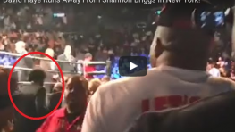 Видео: Шеннон Бриггс преследует Дэвида Хэя в Нью-Йорке