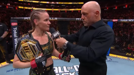 Реакция ММА-сообщества на результат боя Шевченко — Чжан