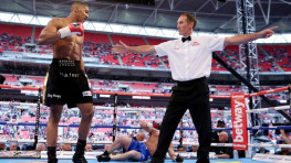 Бой Джошуа-Поветкин будет обслуживать британский рефери