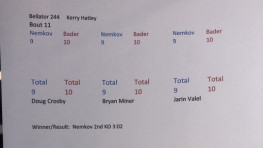 Кадр Дня: Бейдер забрал первый раунд боя с Немковым, решили судьи
