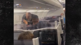 Майк Тайсон разбил лицо неадекватному попутчику (видео)