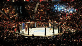 Матч ТВ может прекратить трансляции шоу UFC в России