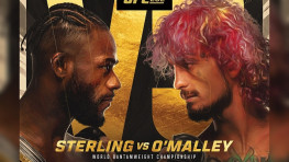 Прямая трансляция UFC 292. Где смотреть?