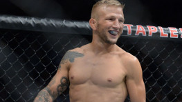 Ти Джей Диллашоу: К концу года у меня снова будет пояс