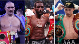 Дэвид Бенавидес назвал свой топ-3 лучших боксеров мира