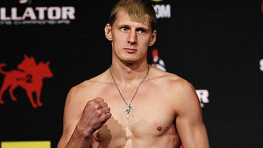 Видео боя Александра Волкова и Роя Боутона