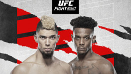 Список участников турнира UFC Fight Night 201