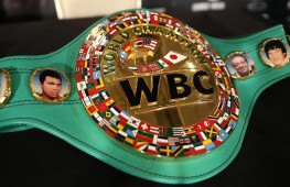 WBC объявил о создании нового веса до 224 фунтов