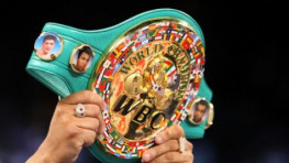 WBC: Победители пар Котто-Альварес и Головкин-Мюррей должны провести бой