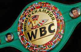 WBC назначил бои за титул и отборочные бои