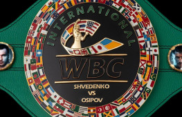 На бое Шведенко и Осипова за пояс WBC в Санкт-Петербурге будут работать российские судьи