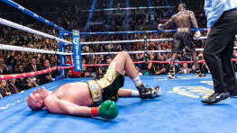 Фьюри объяснил, почему Уайлдер не смог его нокаутировать