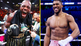 Бой Джошуа-Уайлдер может пройти весной в Лас-Вегасе или Лондоне