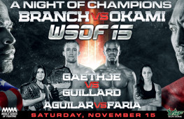 Результаты WSOF 15