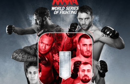 Результаты WSOF 25