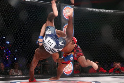 Результаты Bellator 141