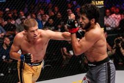 Результаты российских бойцов на шоу PFL 3