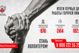 Более 800 обращений поступило в первый день на горячую линию Федерации бокса России