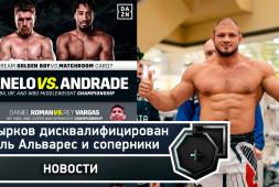 Штырков дисквалифицирован, Альварес и соперники, UFC и бокс