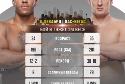 Бой Александра Волкова с Сирилом Ганом перенесен на UFC 310