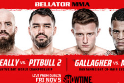 Список участников турнира Bellator 270