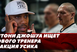 на каком канале смотреть беллатор. Смотреть фото на каком канале смотреть беллатор. Смотреть картинку на каком канале смотреть беллатор. Картинка про на каком канале смотреть беллатор. Фото на каком канале смотреть беллатор